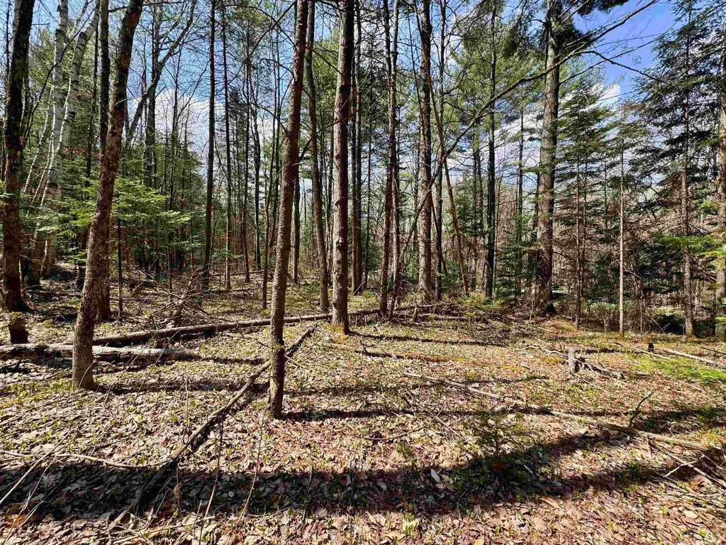 3826 Leighton Hill Road Newbury VT 05081