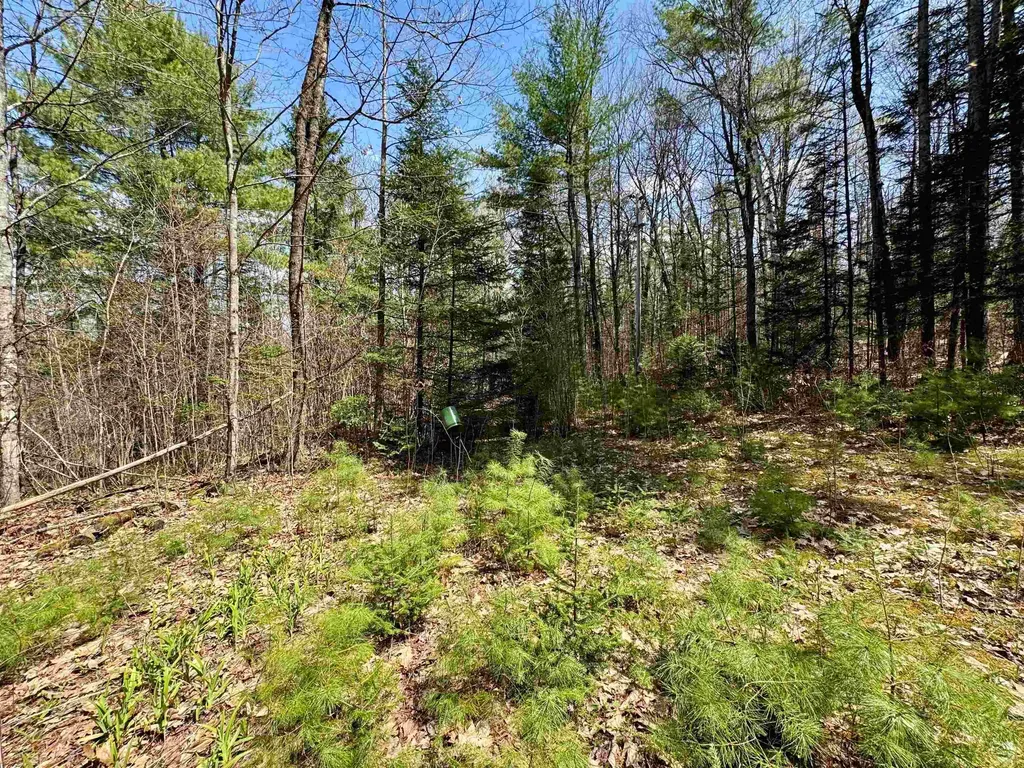 3826 Leighton Hill Road Newbury VT 05081
