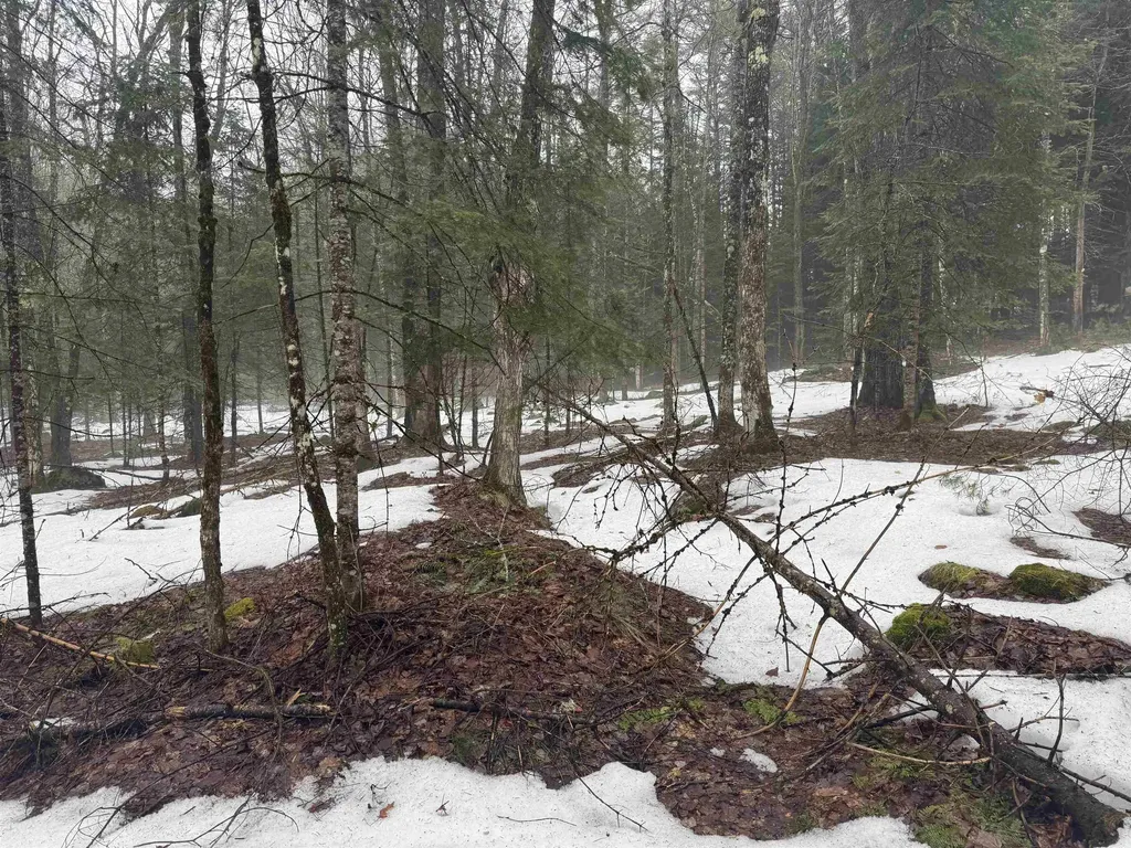 3826 Leighton Hill Road Newbury VT 05081