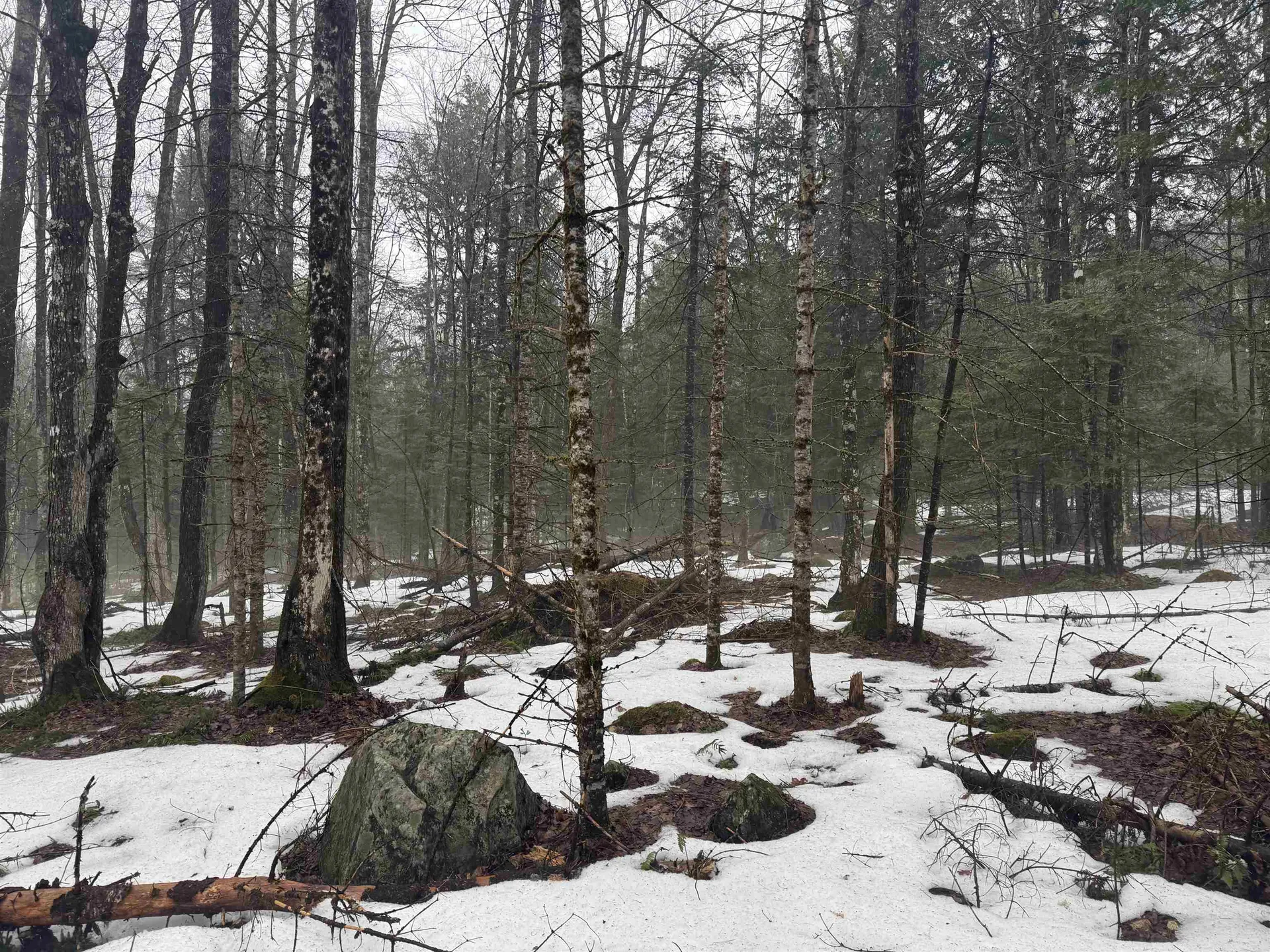 3826 Leighton Hill Road Newbury VT 05081