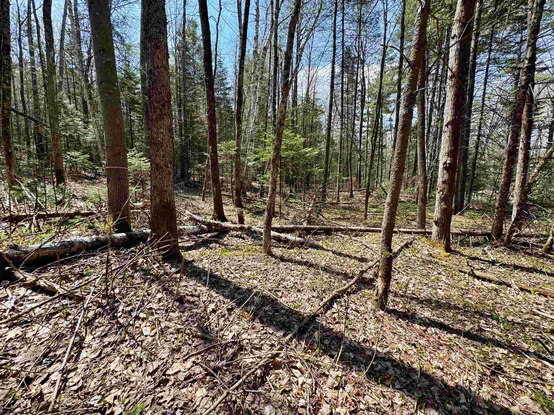3826 Leighton Hill Road Newbury VT 05081