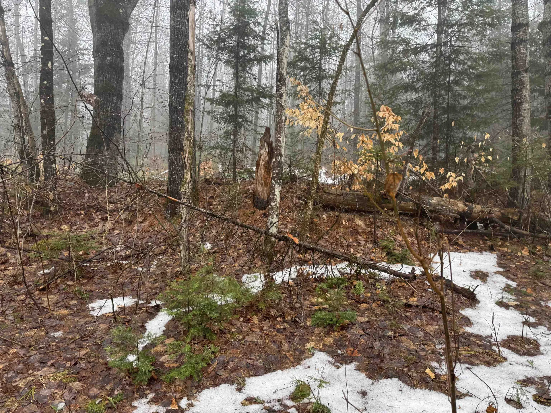 3826 Leighton Hill Road Newbury VT 05081