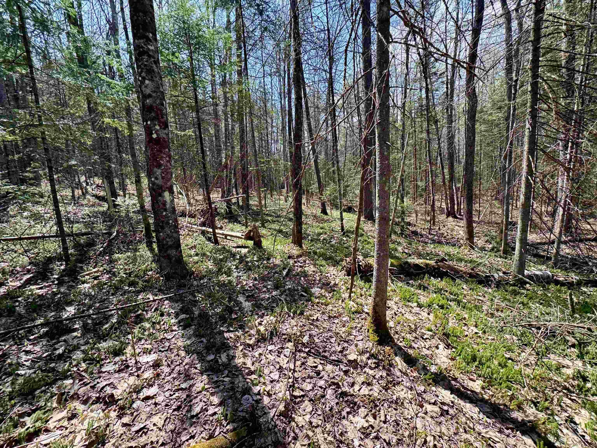 3826 Leighton Hill Road Newbury VT 05081