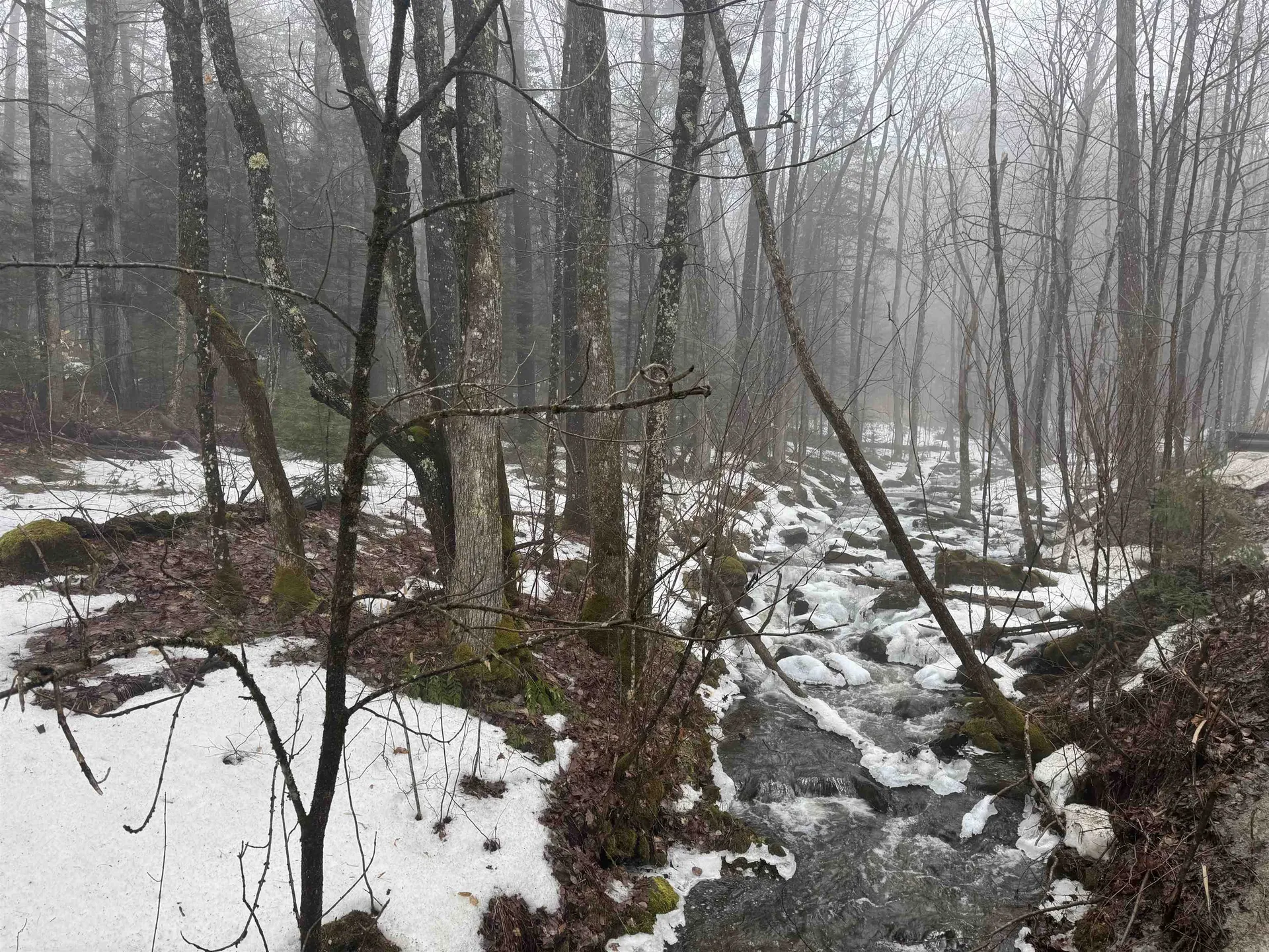 3826 Leighton Hill Road Newbury VT 05081