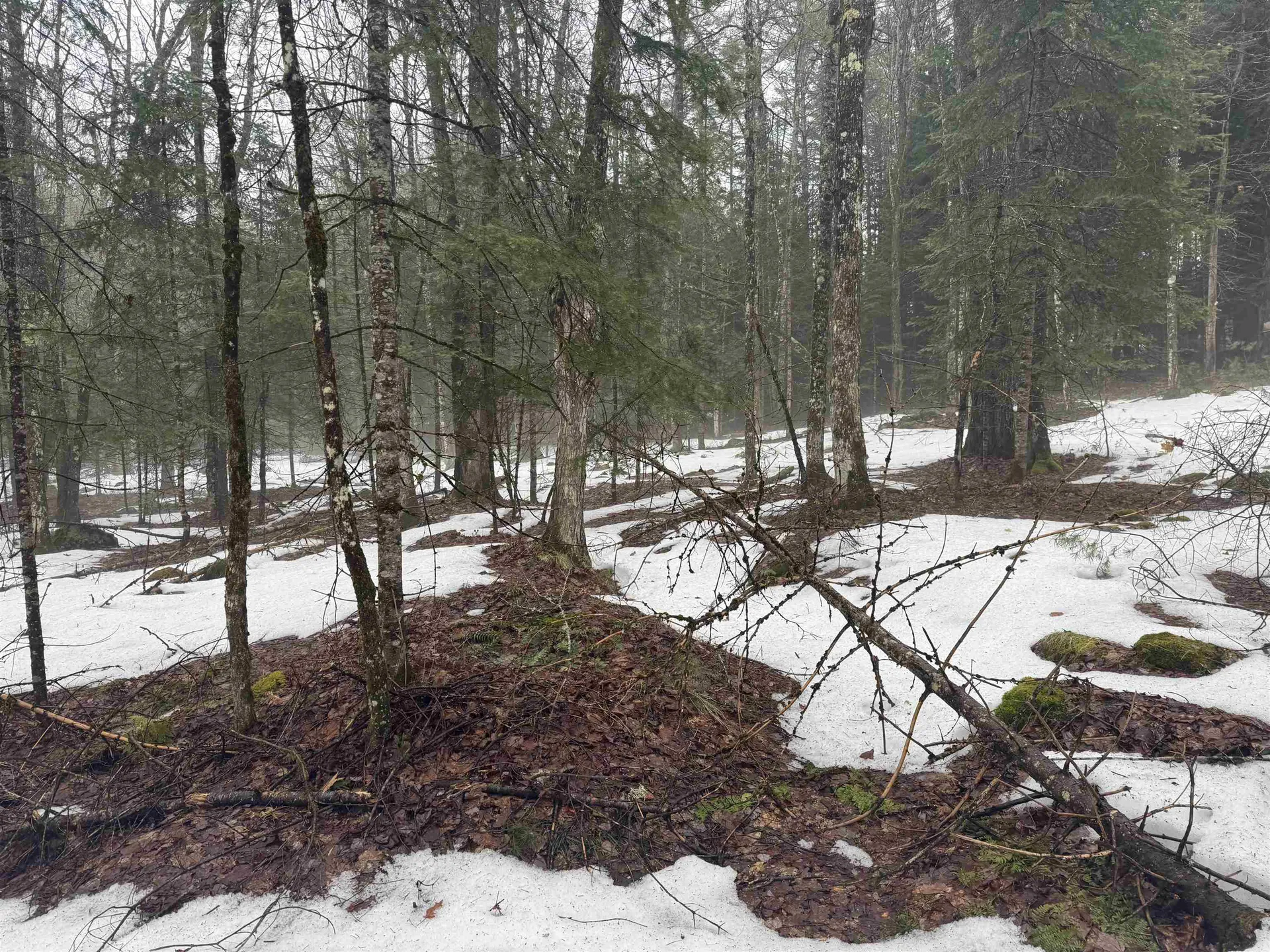 3826 Leighton Hill Road Newbury VT 05081