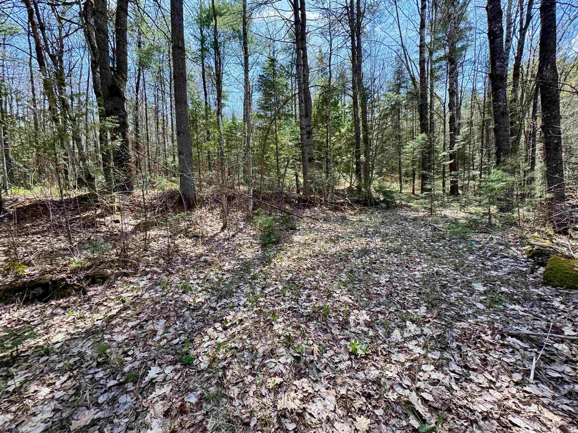 3826 Leighton Hill Road Newbury VT 05081