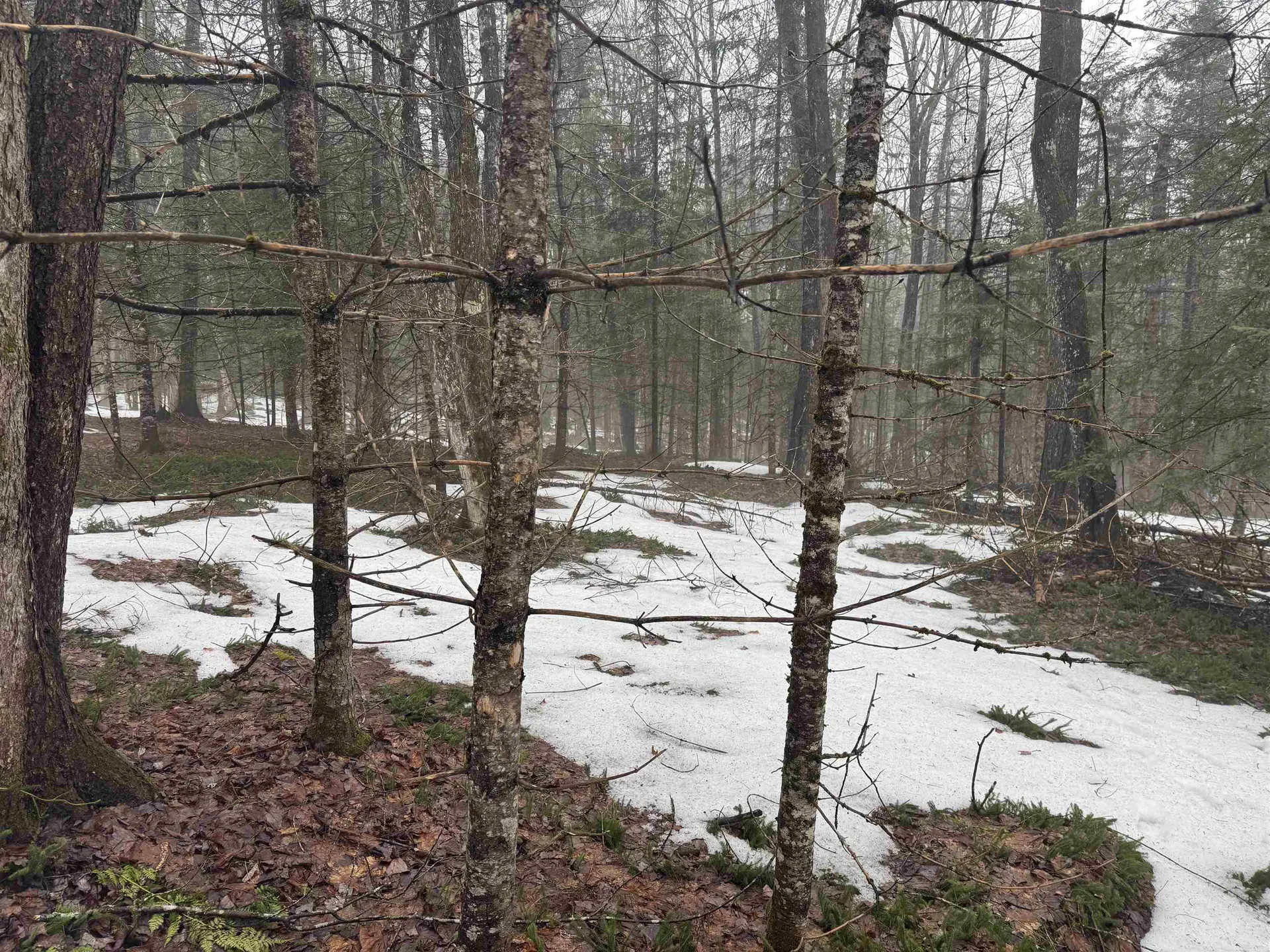 3826 Leighton Hill Road Newbury VT 05081