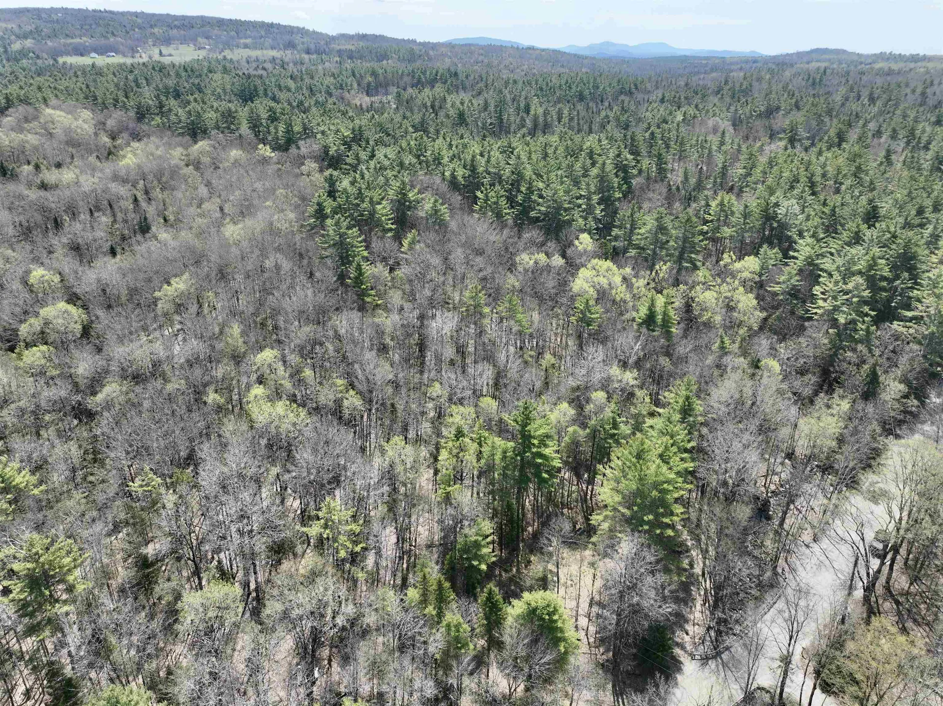 3826 Leighton Hill Road Newbury VT 05081