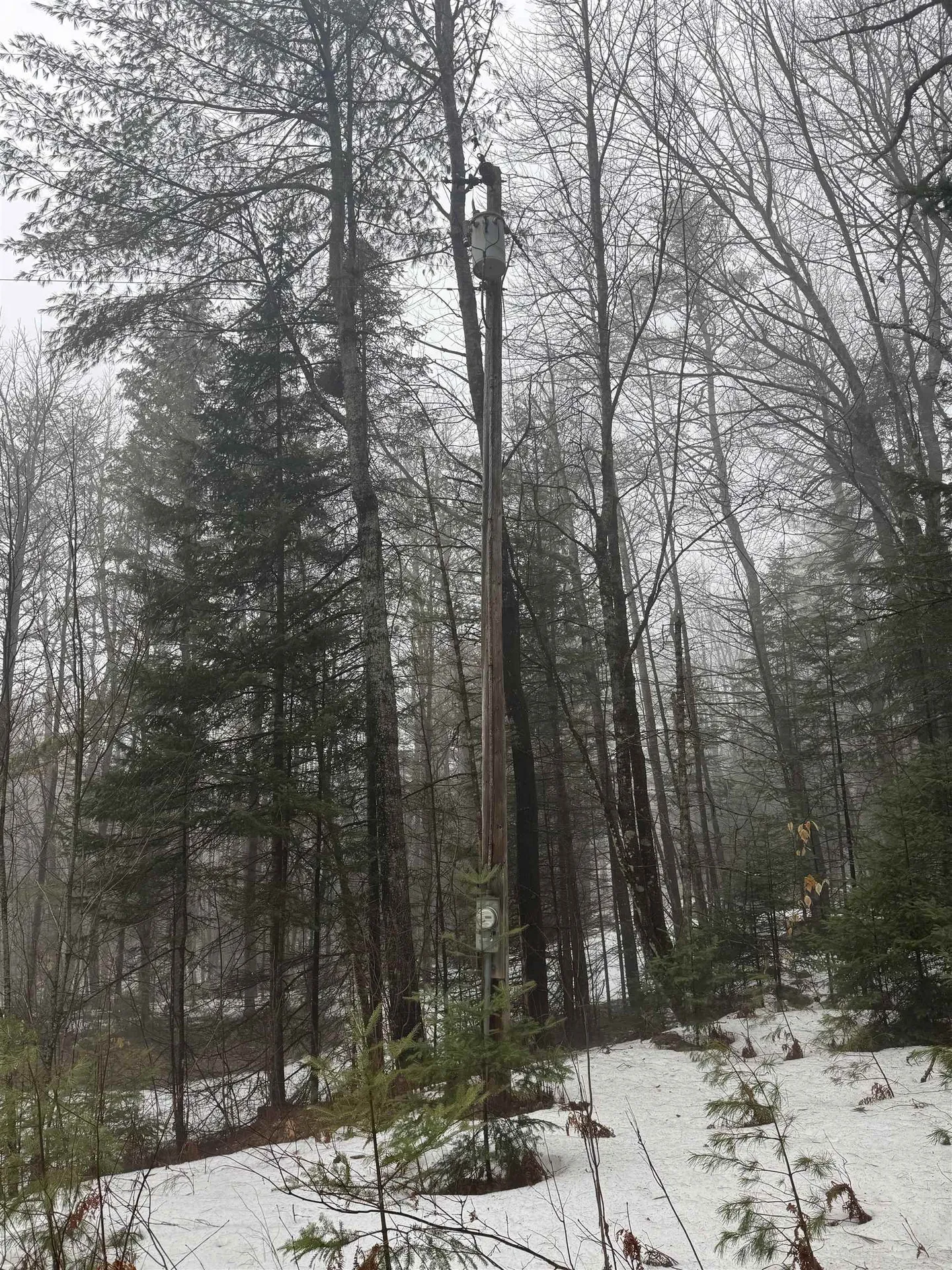 3826 Leighton Hill Road Newbury VT 05081