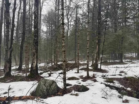 3826 Leighton Hill Road Newbury VT 05081