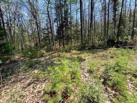 3826 Leighton Hill Road Newbury VT 05081