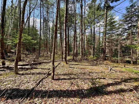 3826 Leighton Hill Road Newbury VT 05081