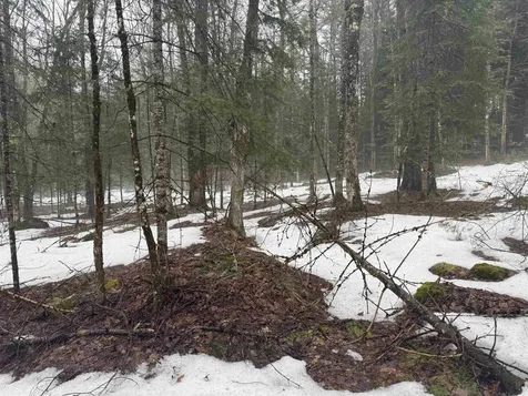 3826 Leighton Hill Road Newbury VT 05081