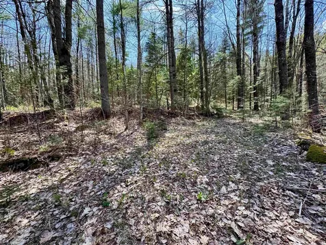 3826 Leighton Hill Road Newbury VT 05081