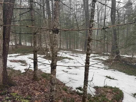 3826 Leighton Hill Road Newbury VT 05081