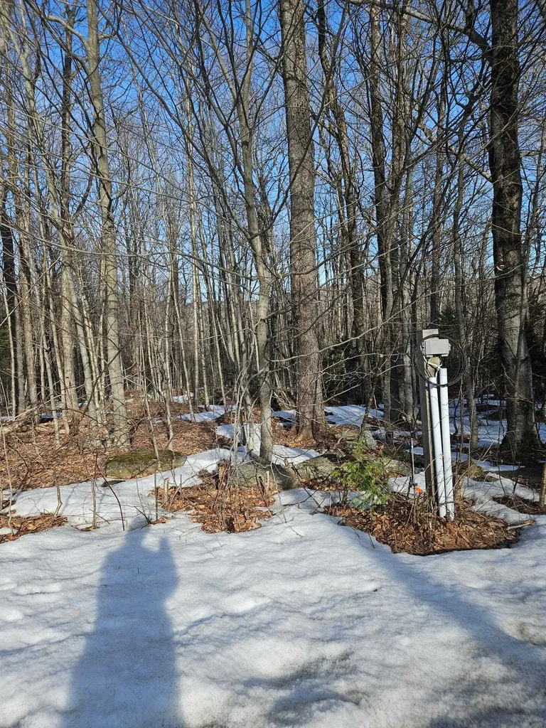 2 Johnson Hill Dover VT 05356