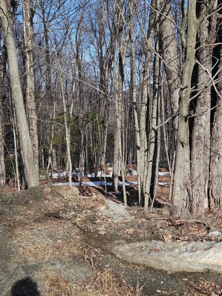 2 Johnson Hill Dover VT 05356