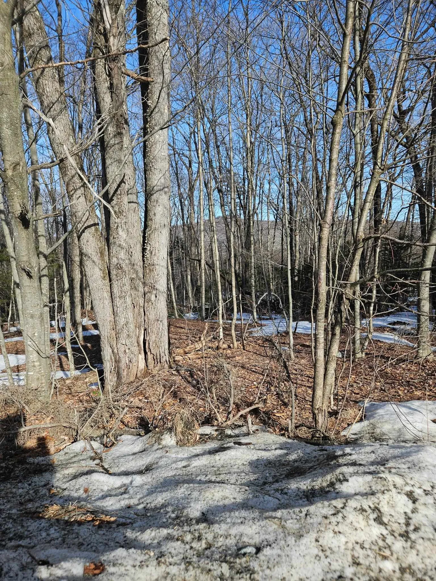 2 Johnson Hill Dover VT 05356