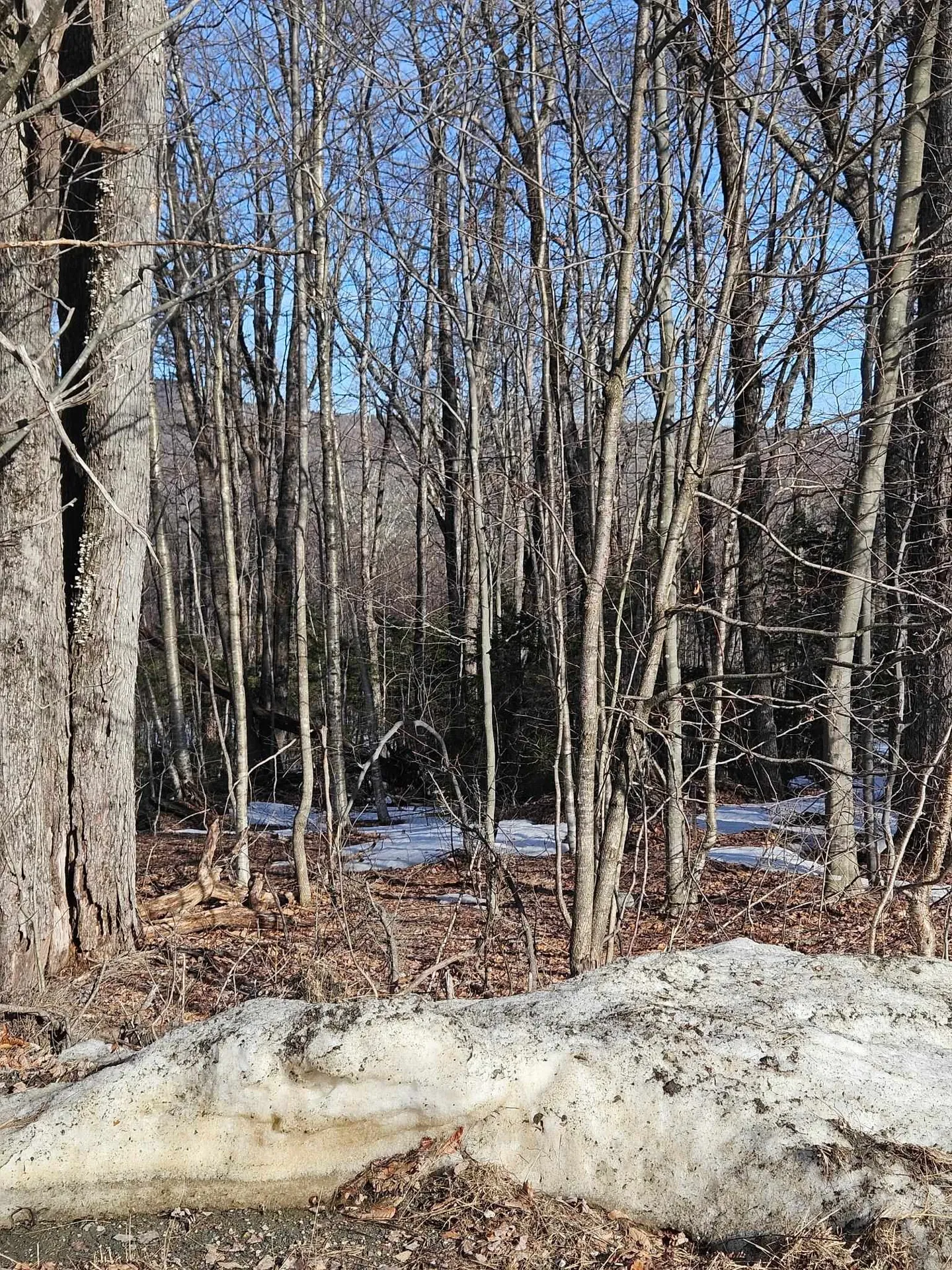 2 Johnson Hill Dover VT 05356