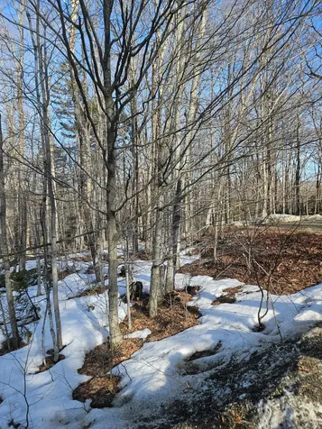 2 Johnson Hill Dover VT 05356
