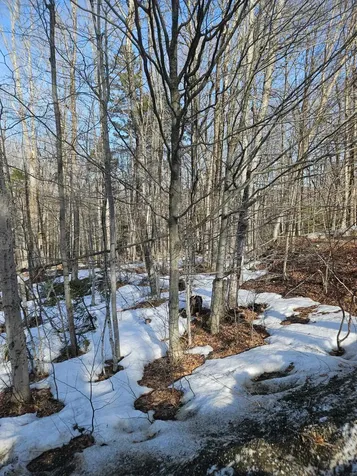 2 Johnson Hill Dover VT 05356