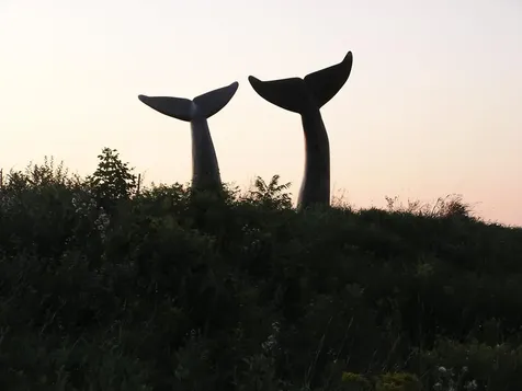 29 Abbey Road Williston VT 05495