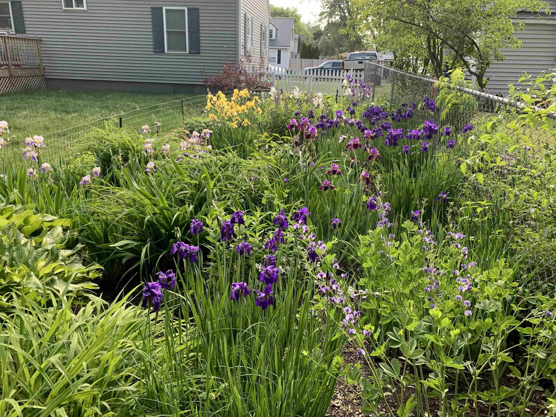 5 Lapointe Street Winooski VT 05404