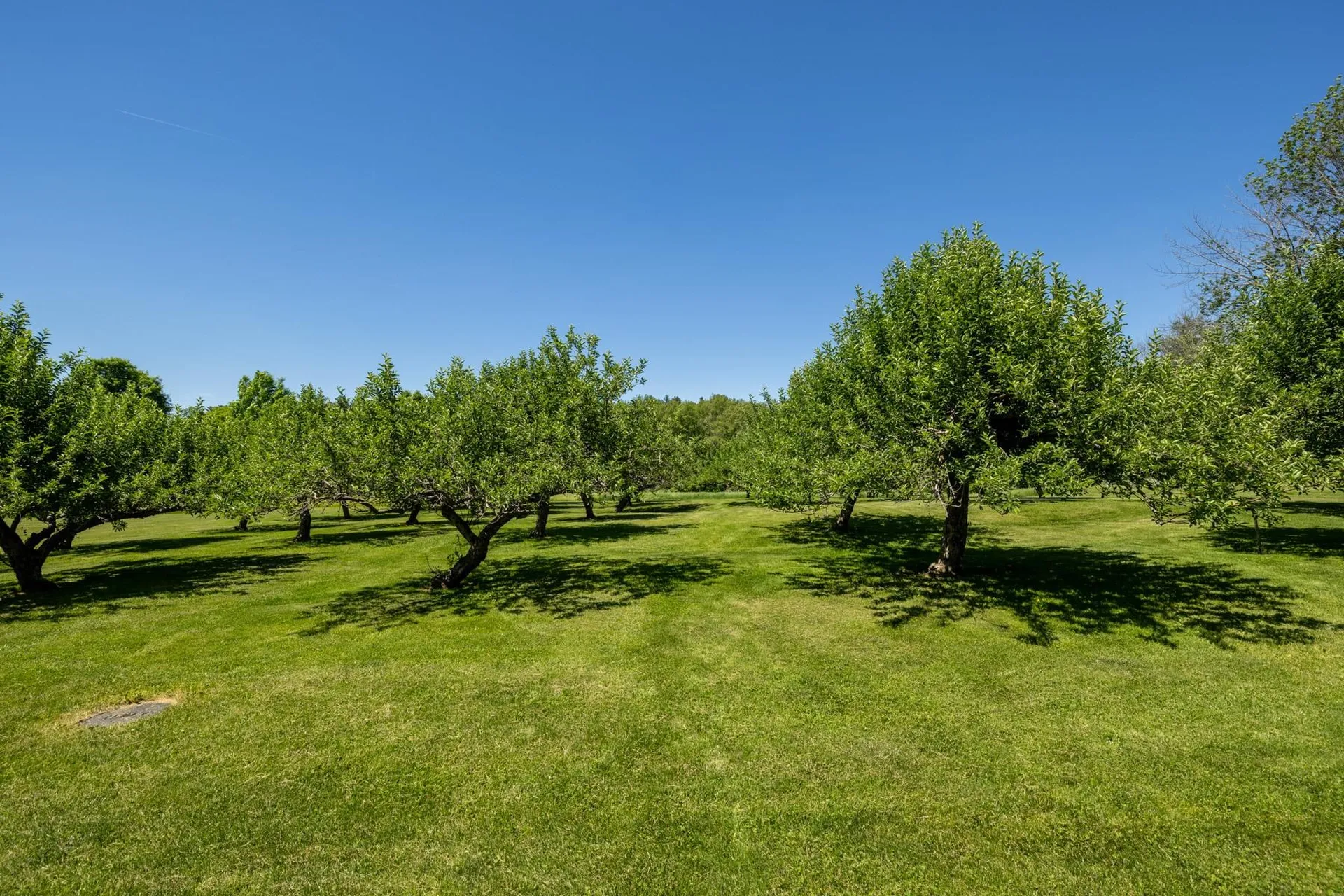 14 Bartlett Road Kensington NH 03833