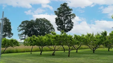 14 Bartlett Road Kensington NH 03833