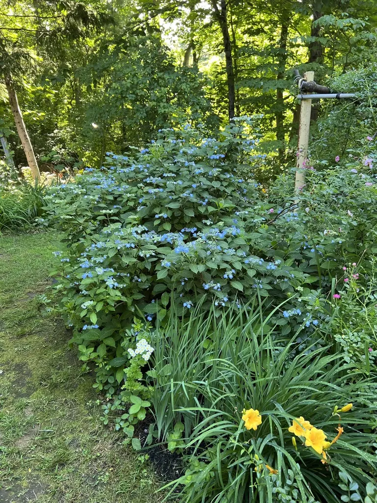 171 Crawley Falls Road Brentwood NH 03833