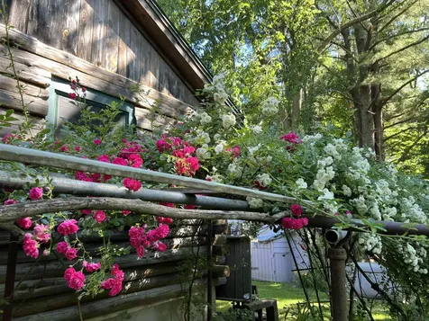 171 Crawley Falls Road Brentwood NH 03833