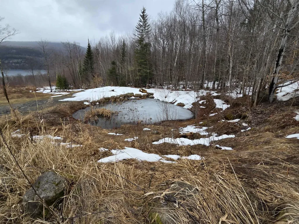2171 Duck Pond Road Barton VT 05822