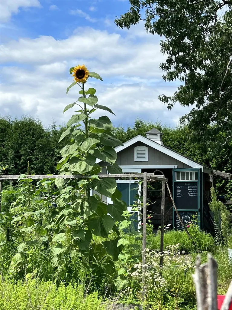 217 Ferry Road Ferrisburgh VT 05491
