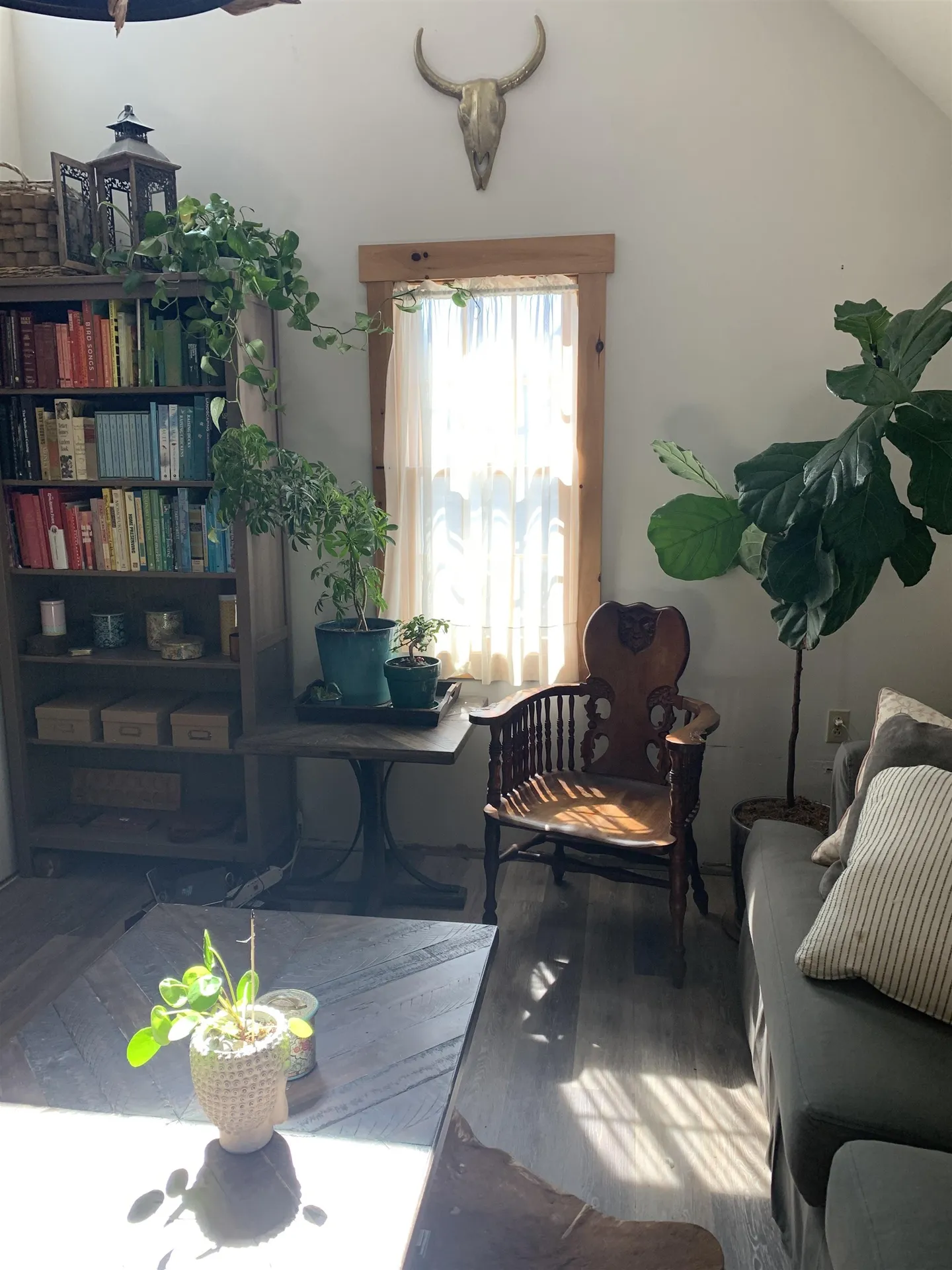 217 Ferry Road Ferrisburgh VT 05491