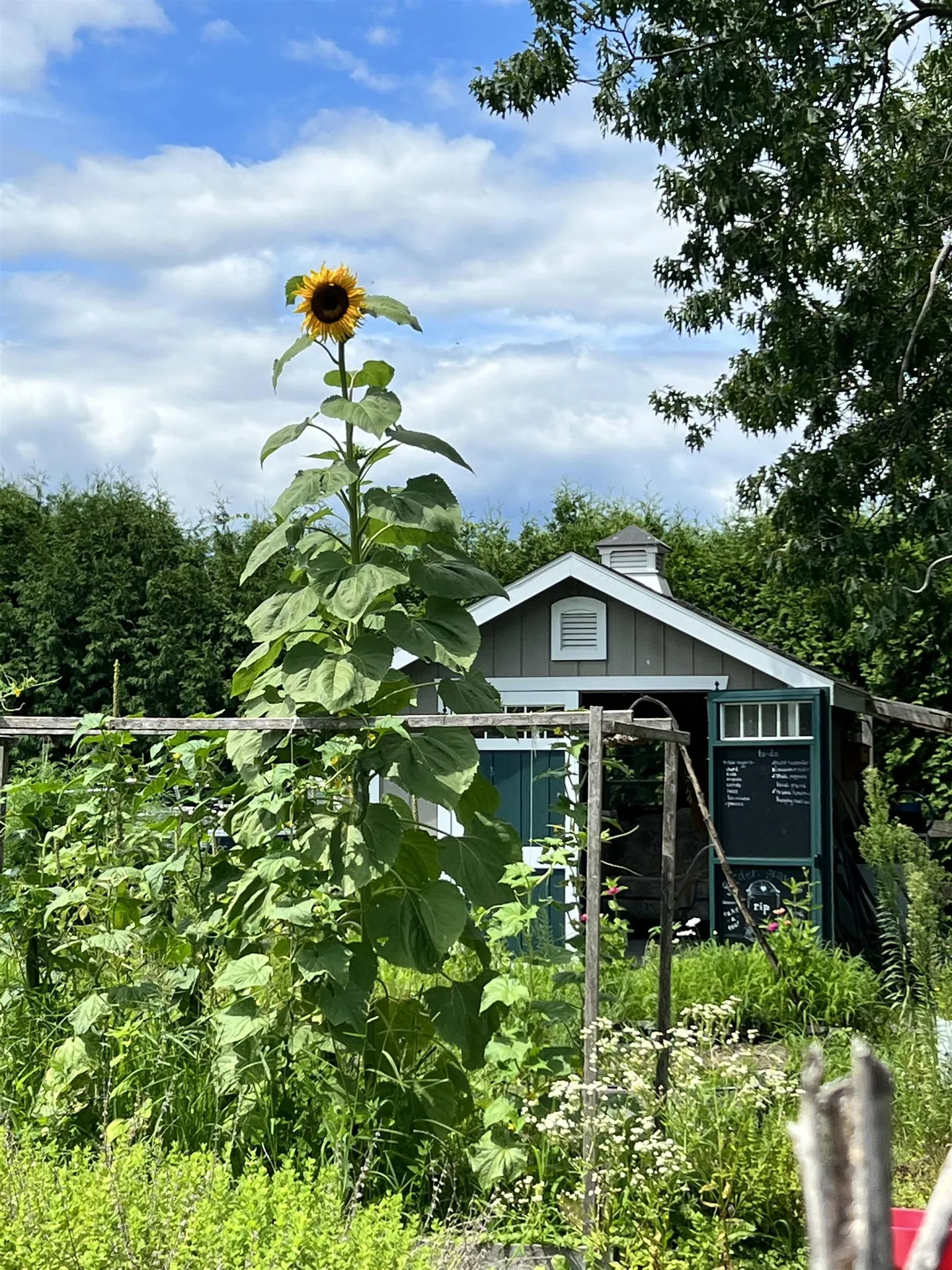 217 Ferry Road Ferrisburgh VT 05491