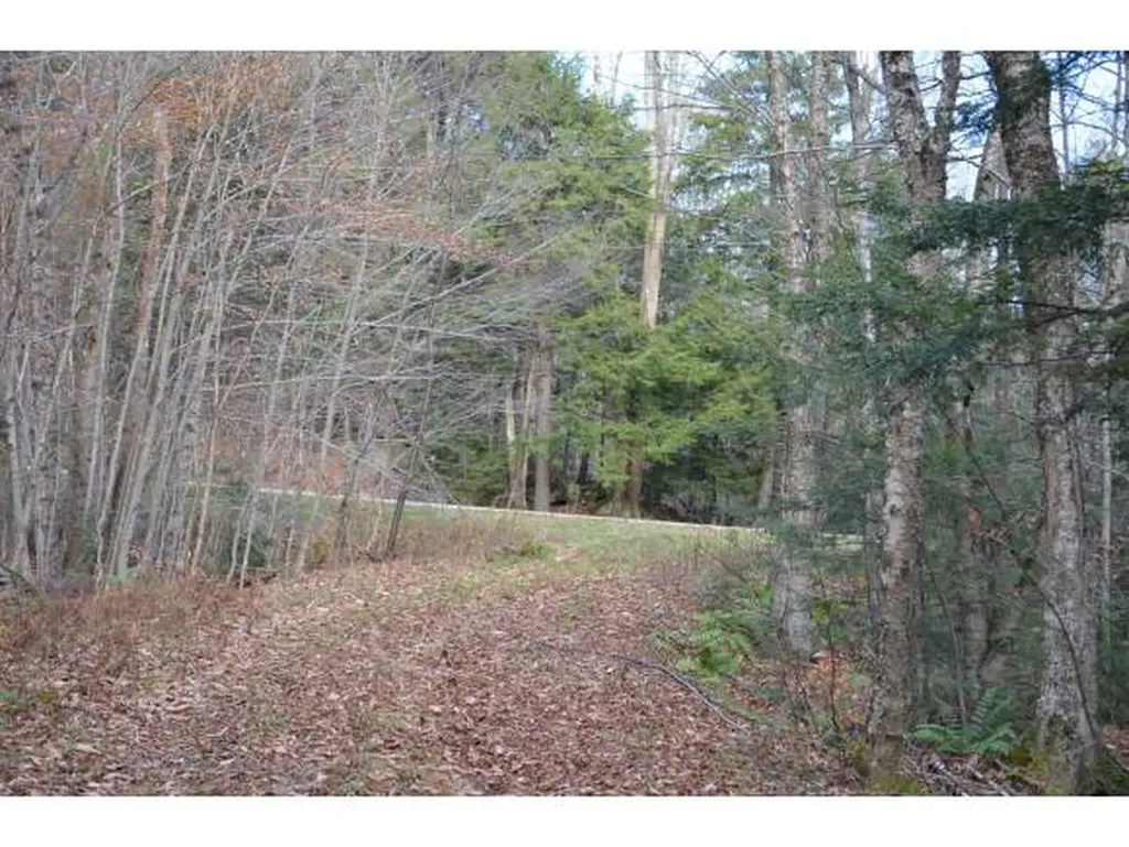 0 Woods Road West Ludlow VT 05149