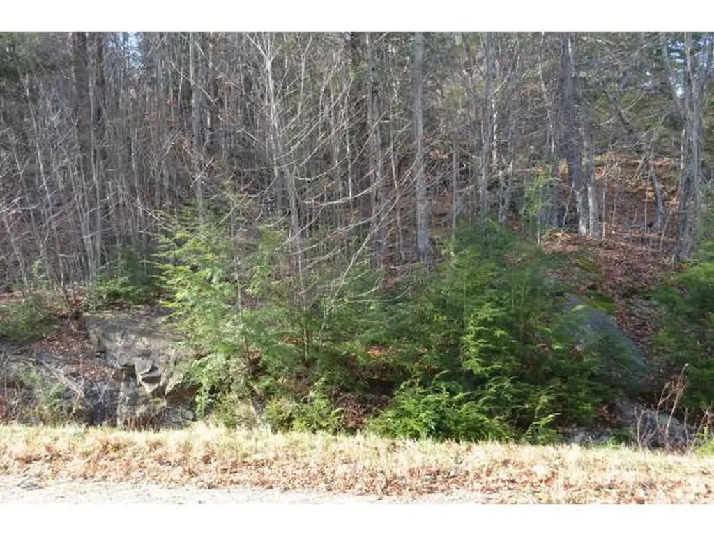 0 Woods Road West Ludlow VT 05149
