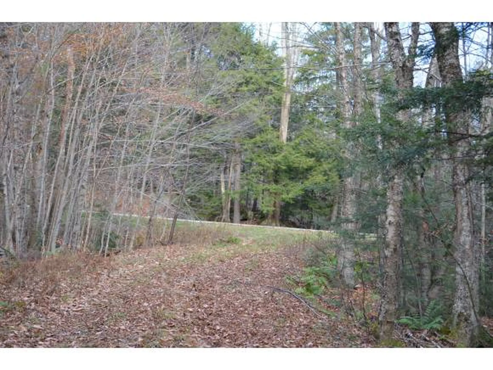 0 Woods Road West Ludlow VT 05149