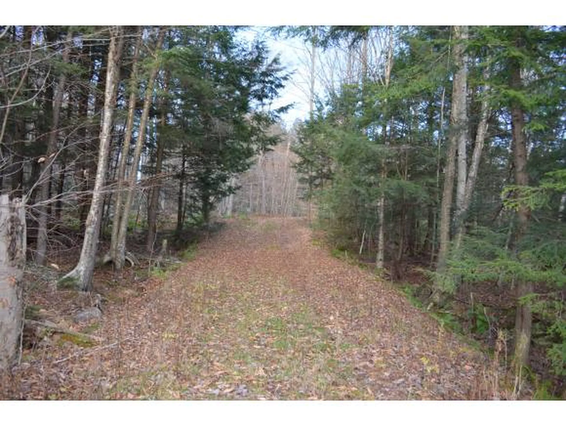 0 Woods Road West Ludlow VT 05149