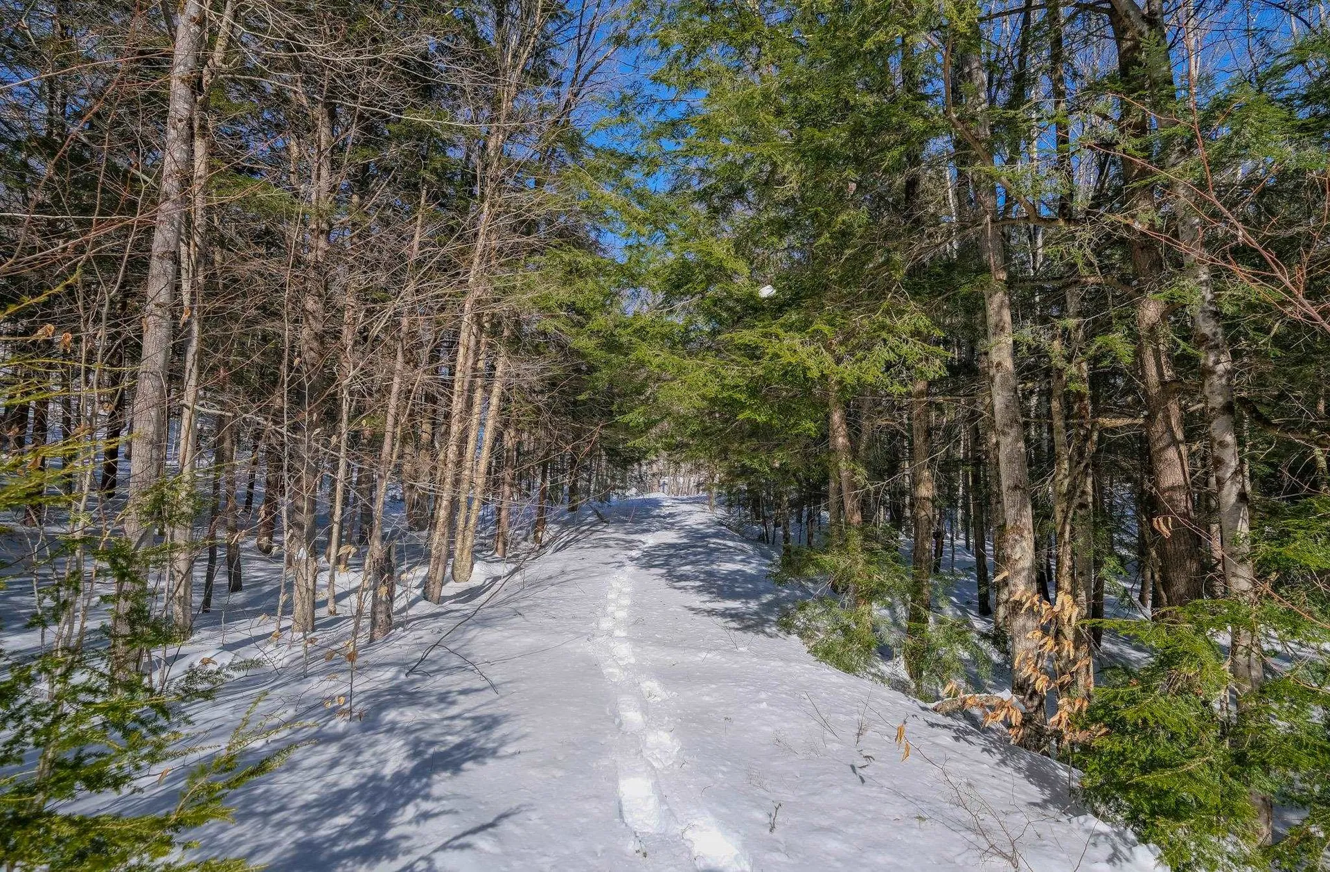 0 Woods Road West Ludlow VT 05149