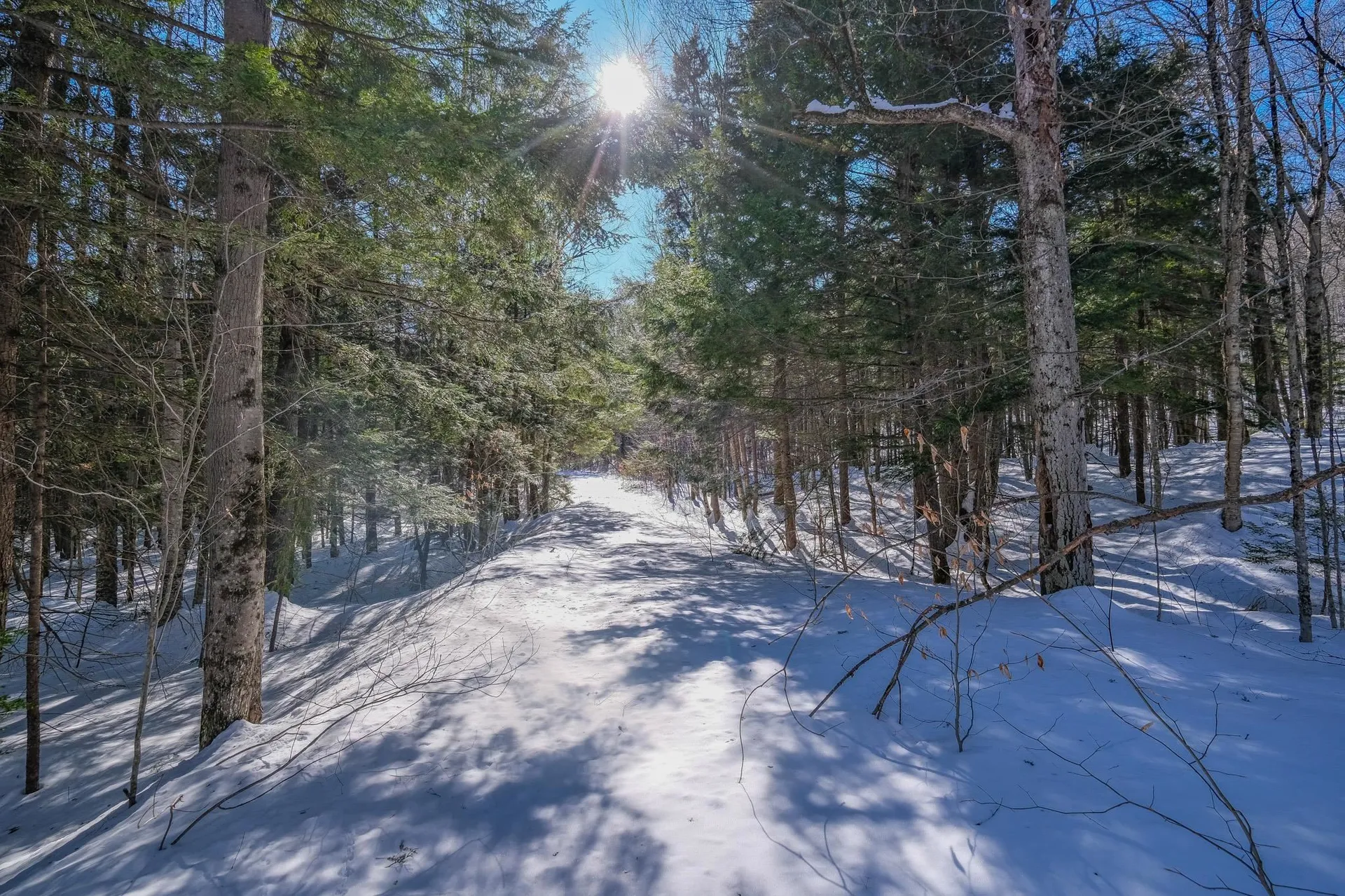 0 Woods Road West Ludlow VT 05149