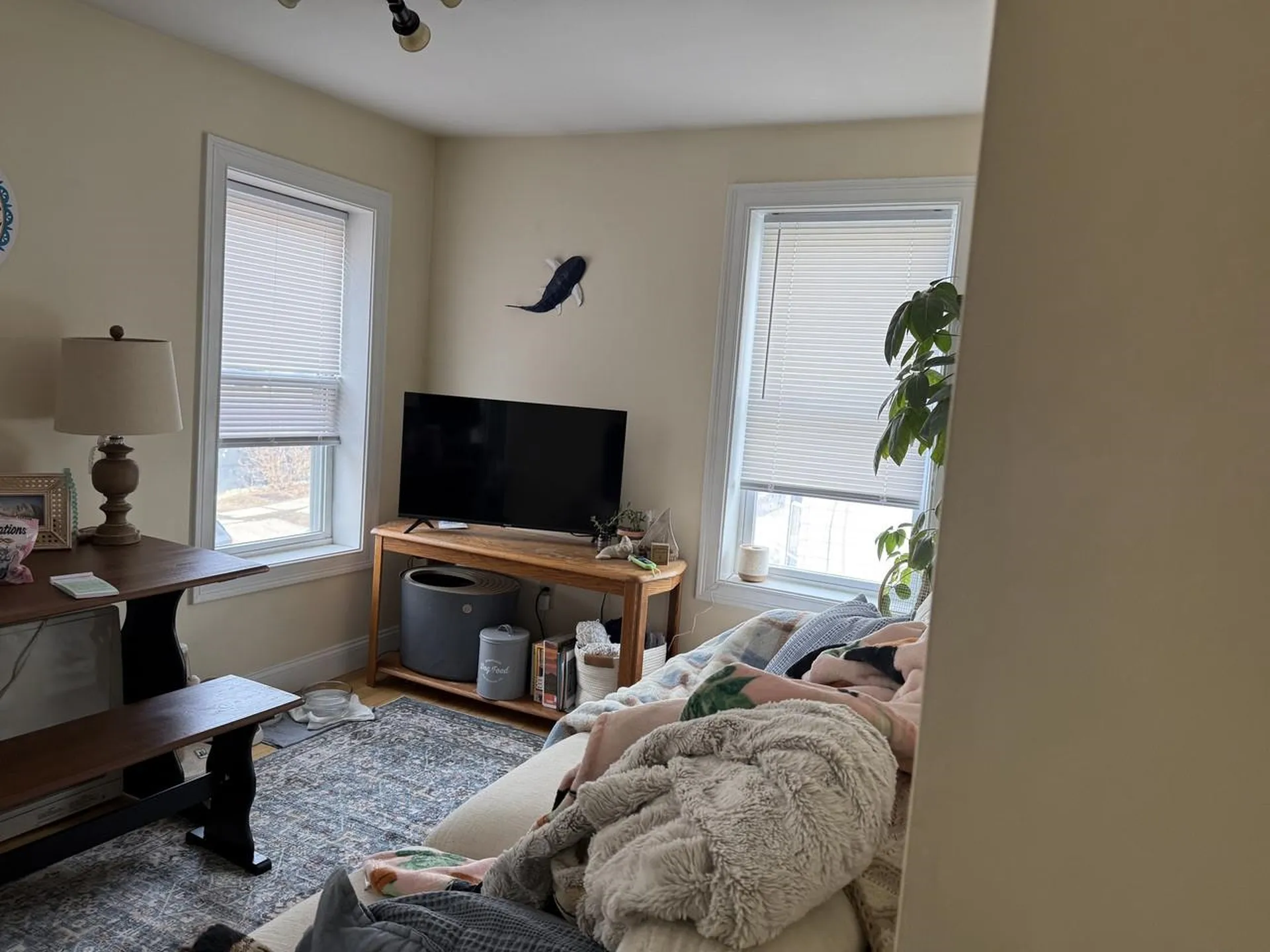 155 Maple Street Burlington VT 05401