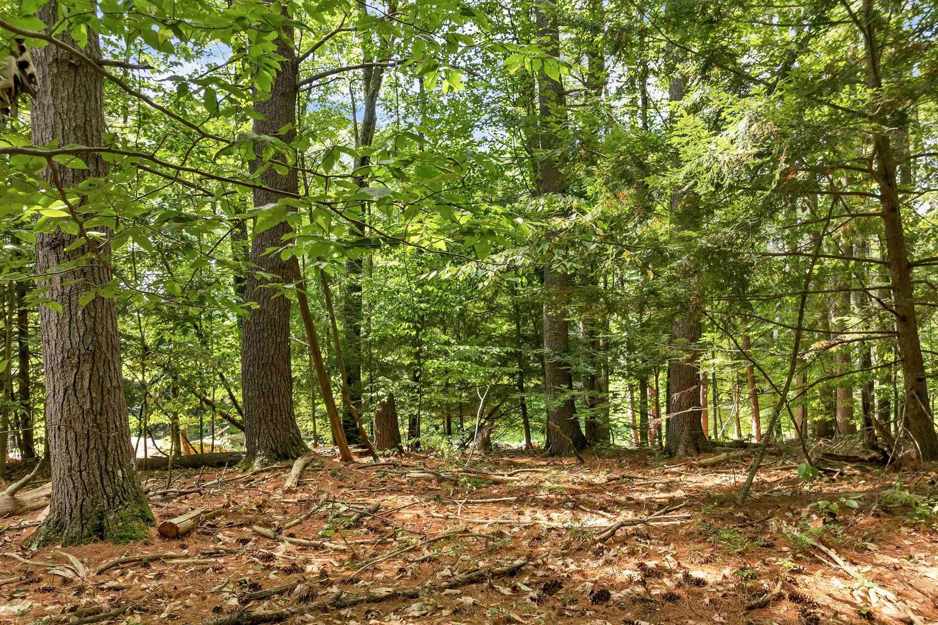 Clark Road Tilton NH 03276