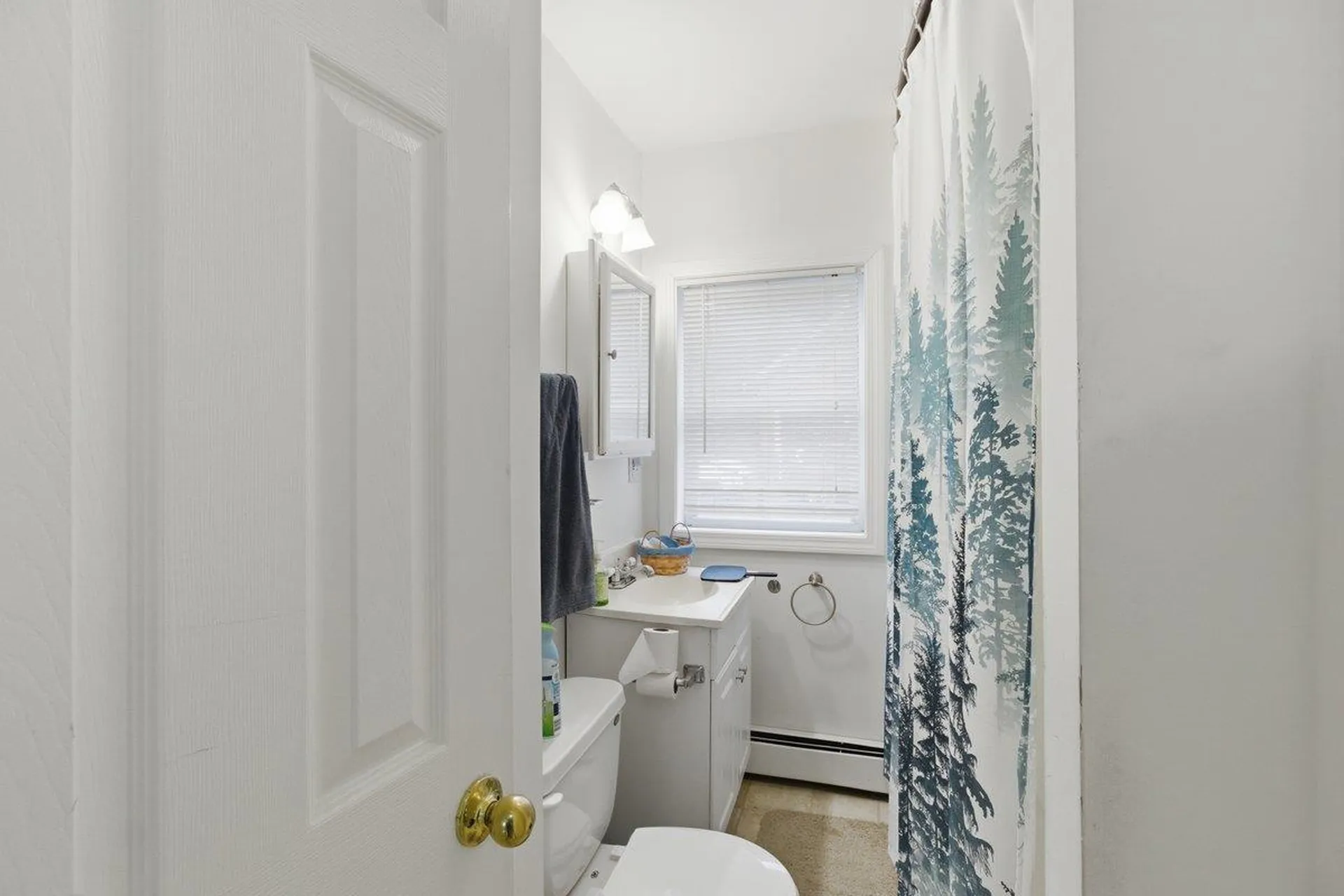 111-113 Booth Terrace Bennington VT 05201