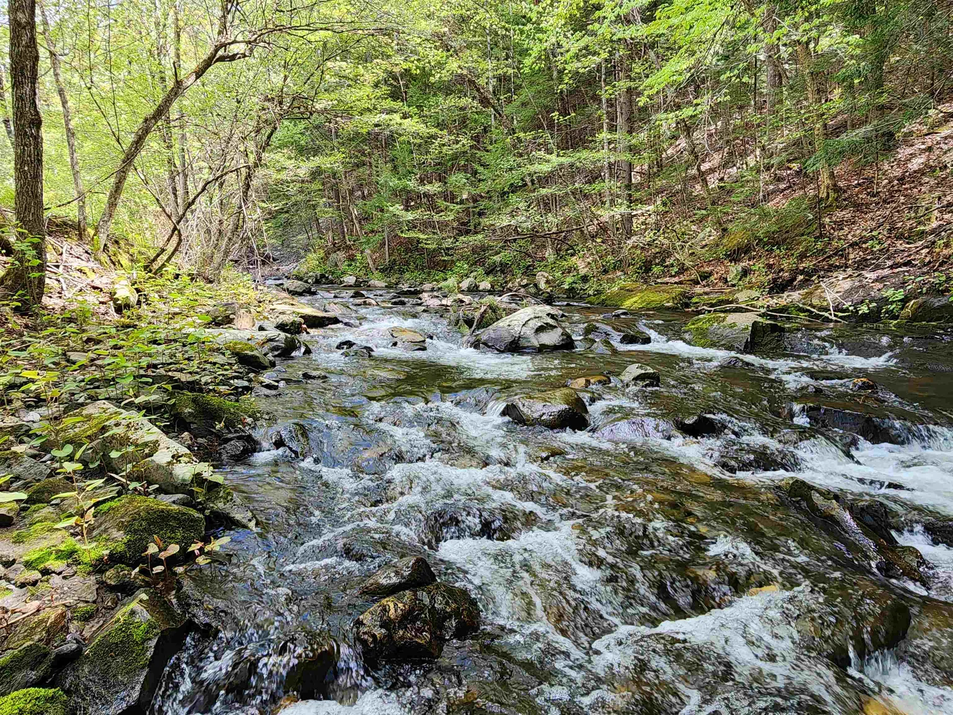 579 Town House Road Cornish NH 03745