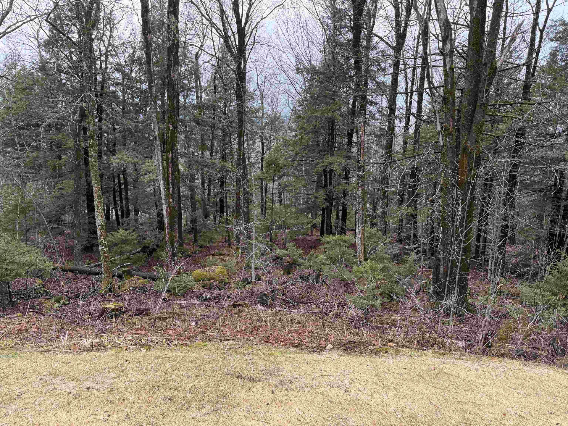 6D White Oaks Loop Dover VT 05356