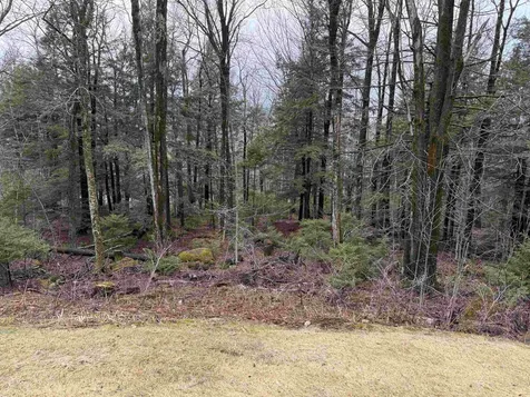 6D White Oaks Loop Dover VT 05356