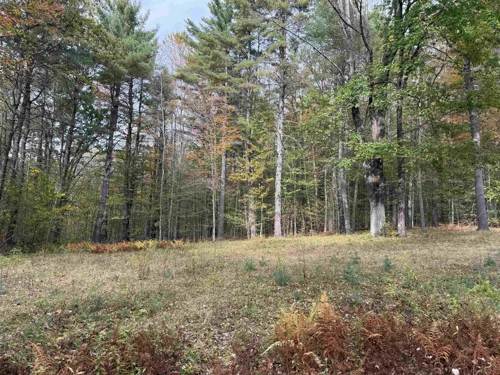 1499 Josh Road Halifax VT 05358-1499