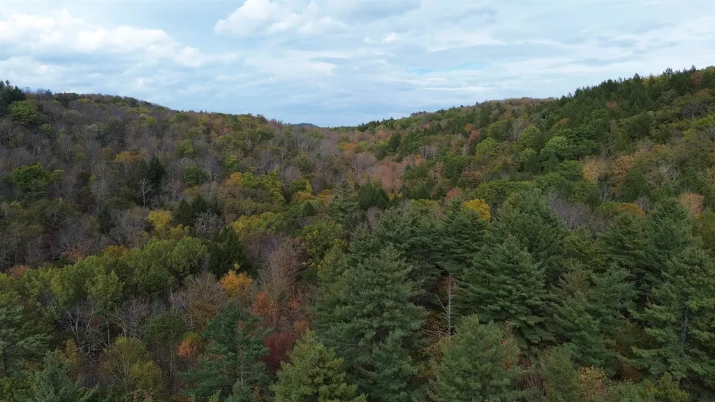 1499 Josh Road Halifax VT 05358-1499