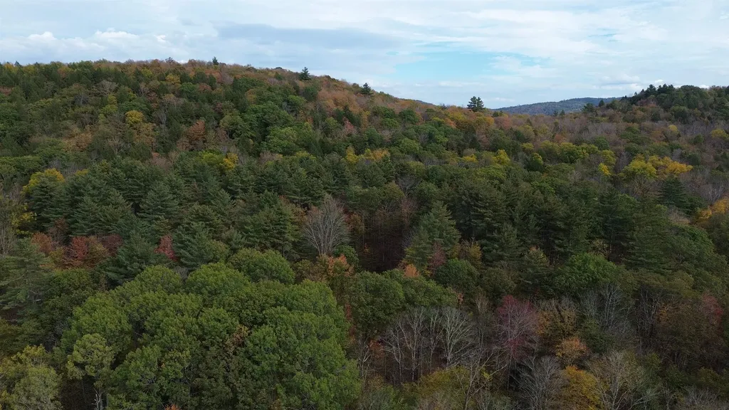 1499 Josh Road Halifax VT 05358-1499